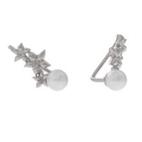 Серьги 1042052-01250-2S (Ag 925)